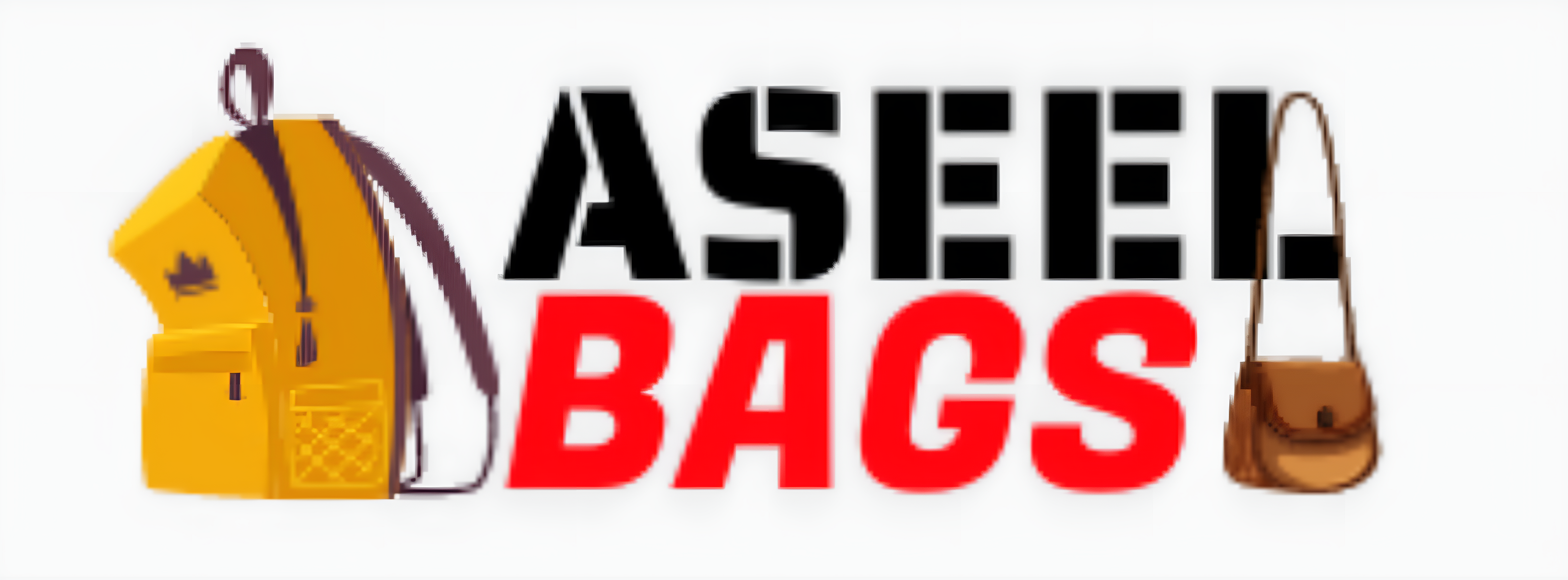 Aseel Bags